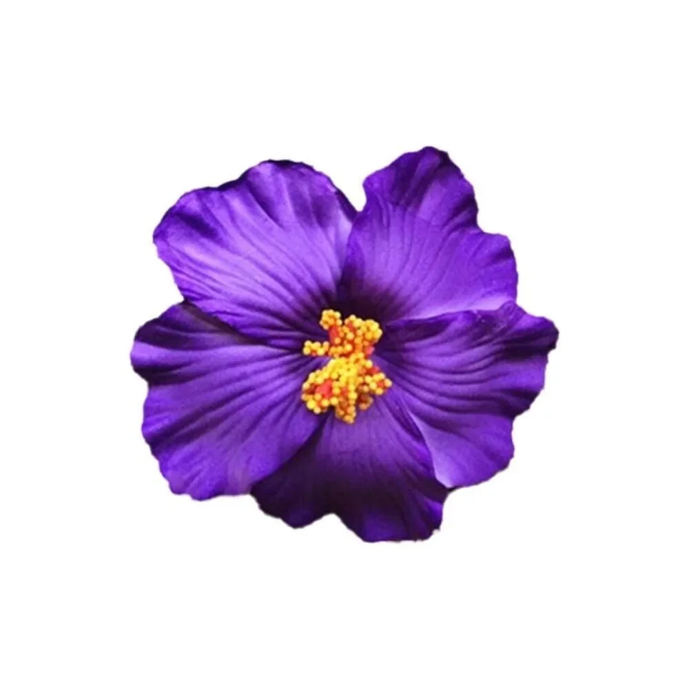 #71 Headwear Hawaiian Flower Hair Clips Romantic