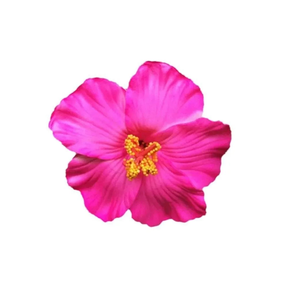 #71 Headwear Hawaiian Flower Hair Clips Romantic