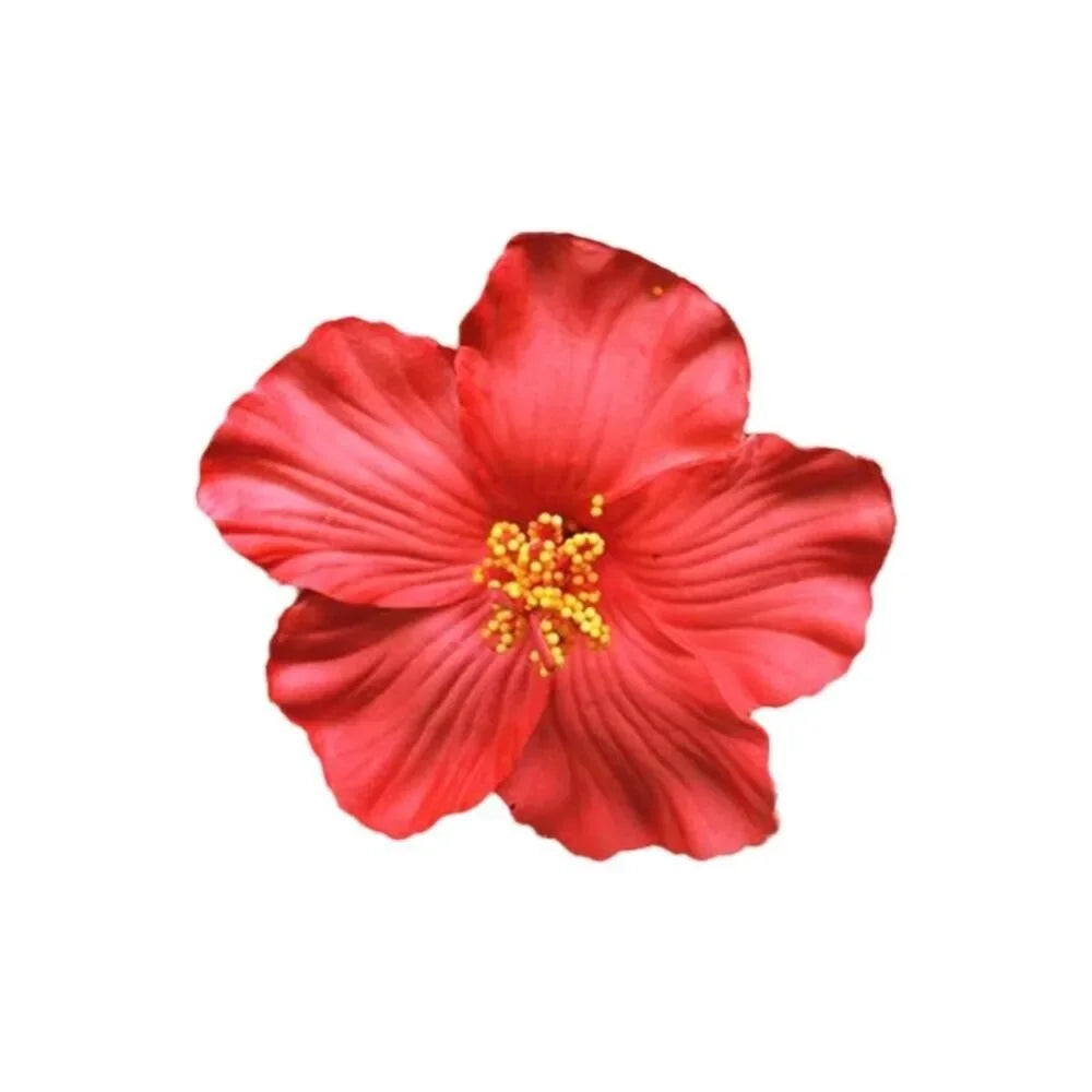 #71 Headwear Hawaiian Flower Hair Clips Romantic
