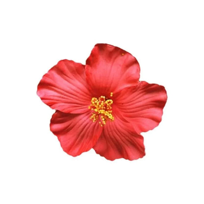 #71 Headwear Hawaiian Flower Hair Clips Romantic